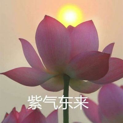 海岛勇士手游变态版下载